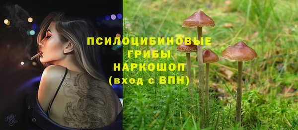 герыч Магадан